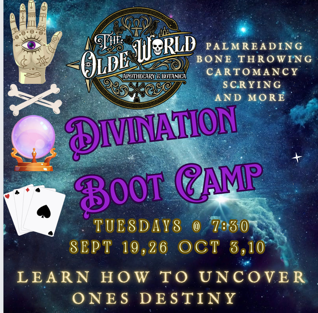 Divination Boot Camp- course 1